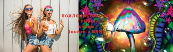 мдпв Елабуга