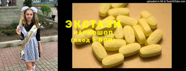 мдпв Елабуга