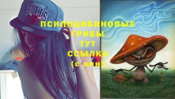 прущая мука Заводоуковск