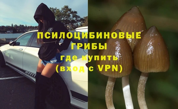 мдпв Елабуга