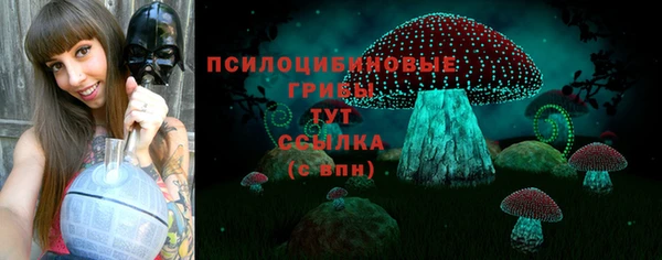 MDMA Ельня