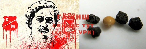 мдпв Елабуга