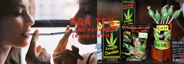 мдпв Елабуга