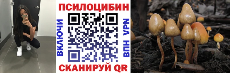 Псилоцибиновые грибы GOLDEN TEACHER  Купить закладки  Ирбит 