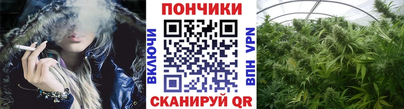 Бошки Шишки Amnesia  Купить где  Ирбит 